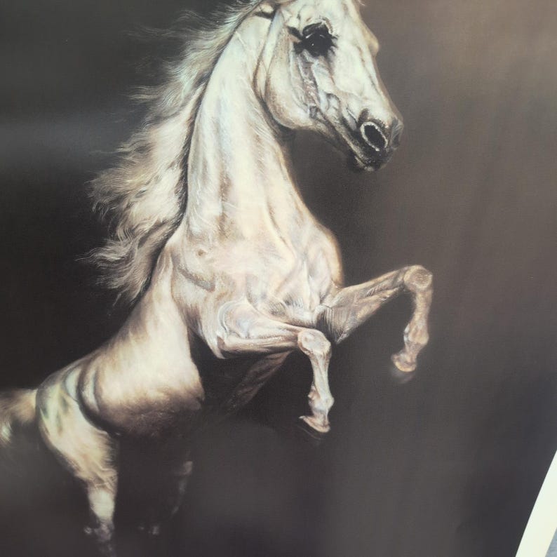 Sonia Torres Limited Edition Numbered, Signed Arabian Front Horse Artist's Print image 3