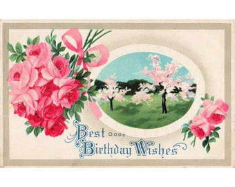 Carte postale vintage « Meilleurs vœux d'anniversaire », rose rose en relief, scène de verger, très bon état.
