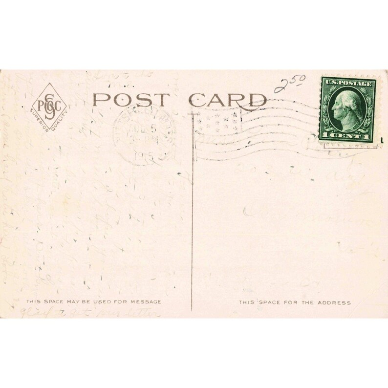 Postal antigua de 1915 del Museo de Historia Natural y Arte de Pittsfield, Massachusetts. imagen 2