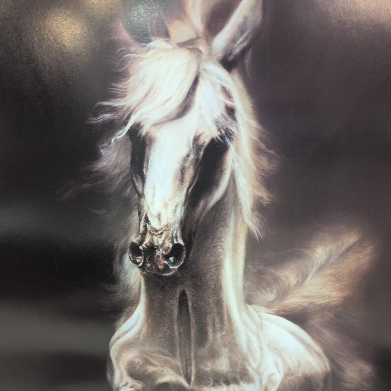 Sonia Torres Arabian Right Horse Artist's Print Torres Signed Numbered Limit Ed image 2