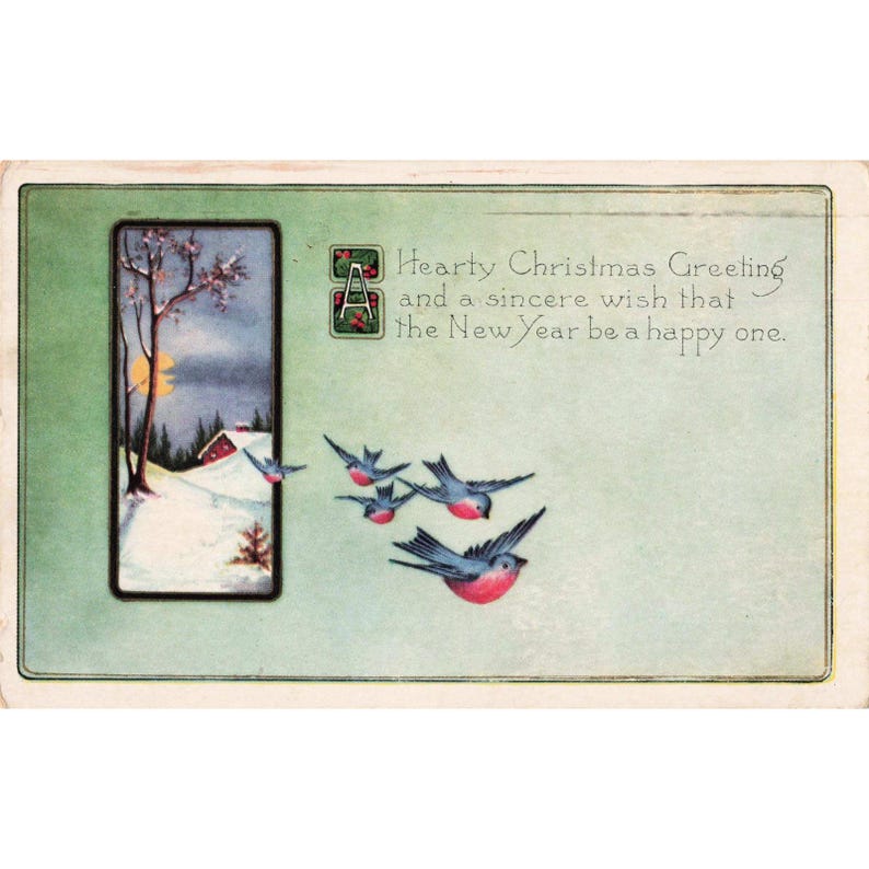 Vtg 1908 Christmas Postcard Bluebirds Winter Cabin Whitney Made Pewaukee WI image 1
