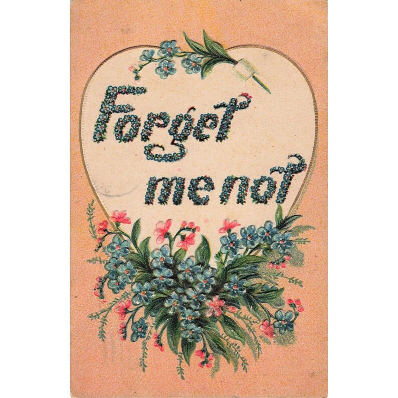 Antique 1911 Forget Me Not Floral Embossed Postcard Germany 1c Franklin Stamp image 1