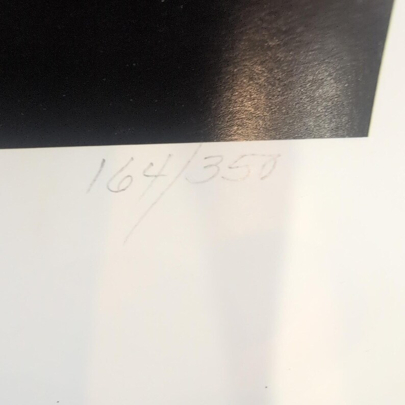Sonia Torres Limited Edition, Numbered, Signed Arabian Left Horse Artist's Print image 6