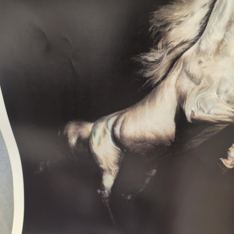 Sonia Torres Limited Edition Numbered, Signed Arabian Front Horse Artist's Print image 4