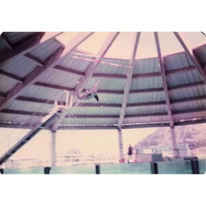 Vintage 1970s Sea Life Park Hawaii Dolphin Seal Show Lot of 6 Photos 3.5x5 image 5