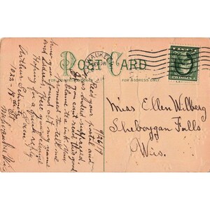 Cartão postal antigo de 1919 com relevo, representando o Poço da Amizade com flores azuis, enviado por Milwaukee, WI. imagem 2
