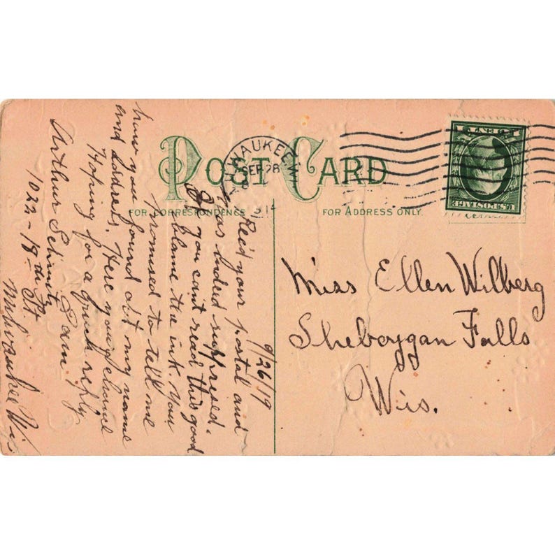 Cartão postal antigo de 1919 com relevo, representando o Poço da Amizade com flores azuis, enviado por Milwaukee, WI. imagem 2