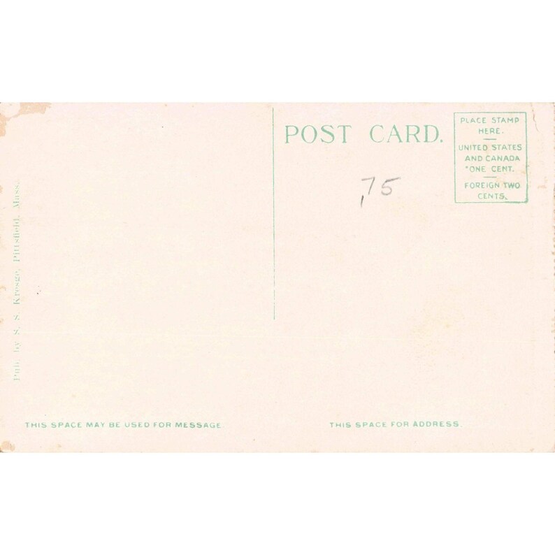 Vintage Onota Lake from Salisbury Grounds Pittsfield Mass Postcard SS Kresge VG image 2