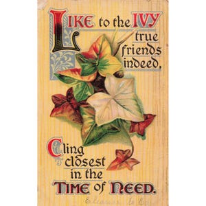 Antique Embossed Ivy Friendship Postcard True Friends Poem Divided Back VG image 1