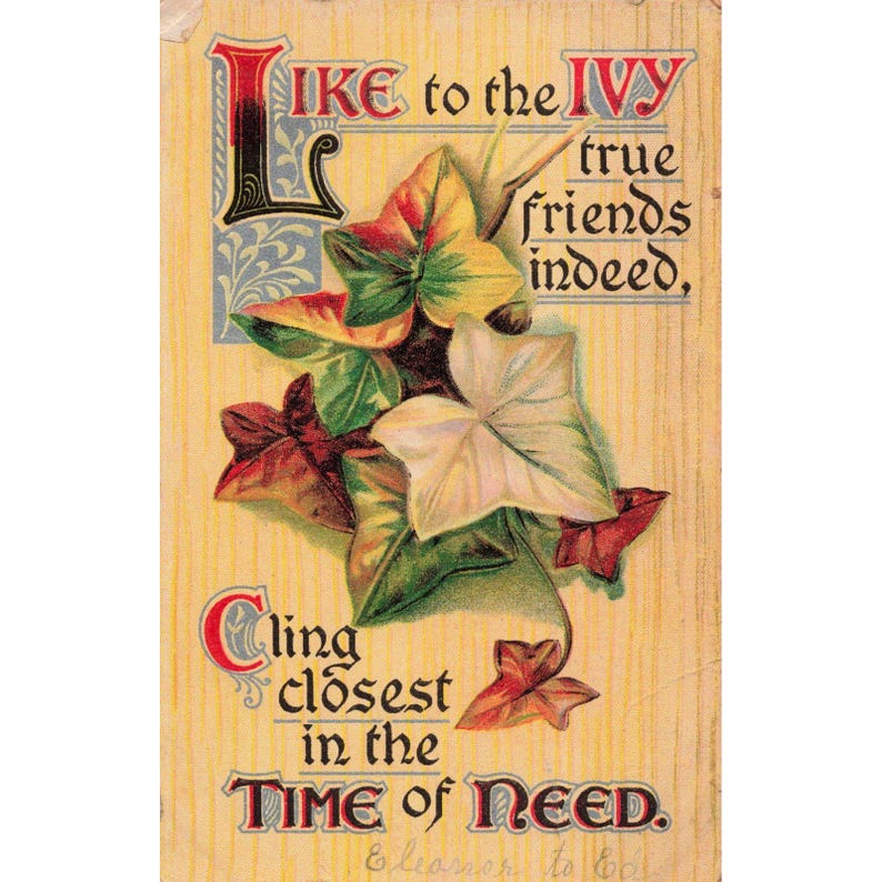 Antique Embossed Ivy Friendship Postcard True Friends Poem Divided Back VG image 1