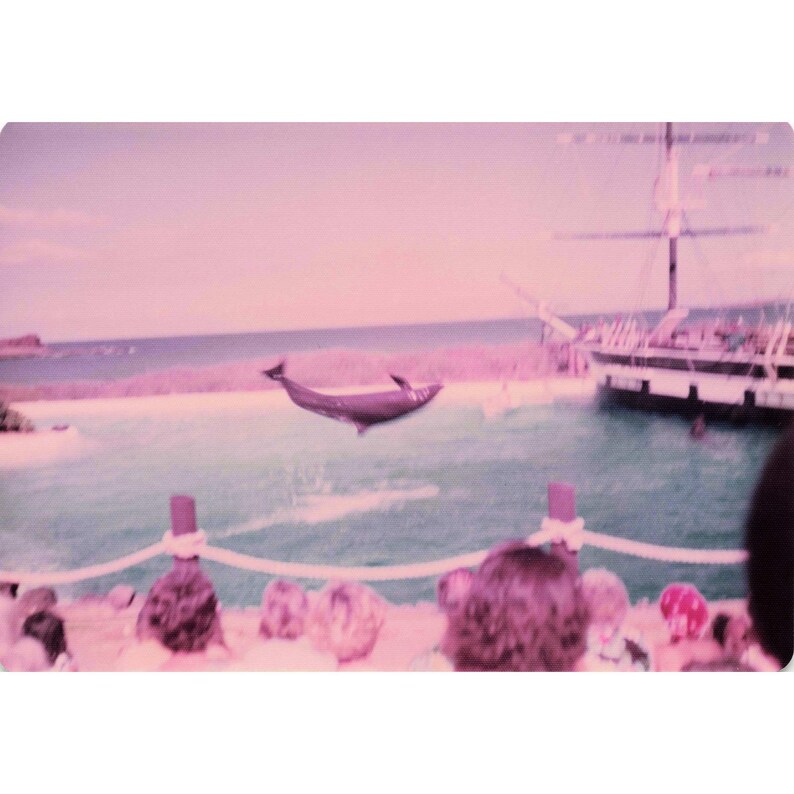 Vintage 1970s Sea Life Park Hawaii Dolphin Show Tall Ship Photo Lot of 17 image 12