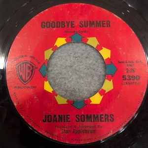 Joanie Sommers Big Man Goodbye Summer Warner Bros 5390 7in 45 RPM Vinyl Record image 2