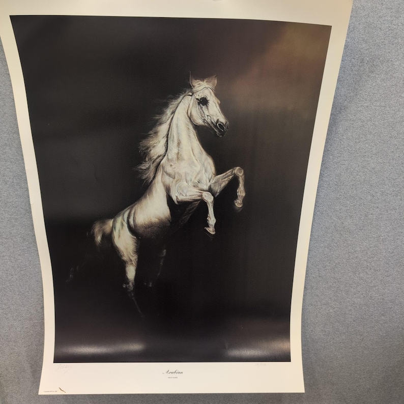 Sonia Torres Limited Edition Numbered, Signed Arabian Front Horse Artist's Print image 1