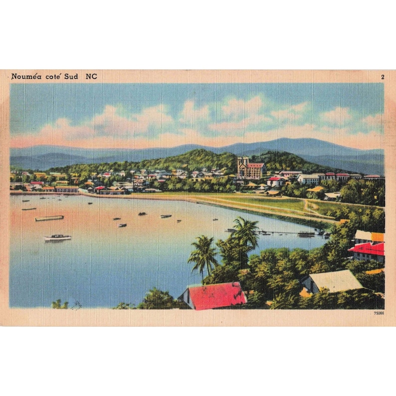 Vintage 1940er Jahre Carte Postale Postkarte Noumea Cote Sud PNG Französisch-Neukaledonien Bild 1