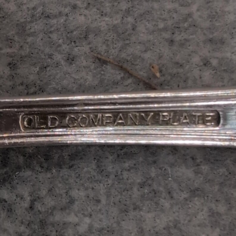 Old Company Plate Signature Rose Silverplate Flatware Set 13pc Monogrammed F image 4