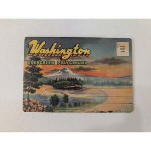 Vintage Washington Evergreen Playground Lake Mt Rainier Postcard