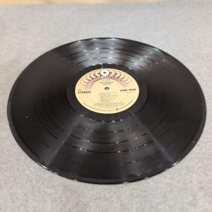 Blackfoot Siogo Vinyl LP 1983 ATCO REkord A1-90080 Südlicher Hard Rock Bild 3