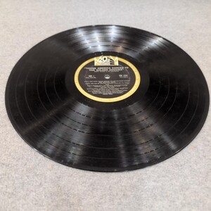 Marty Wilson Orchestra Young America Dances to Golden Goodies Vinyl LP TFM 3101 image 5