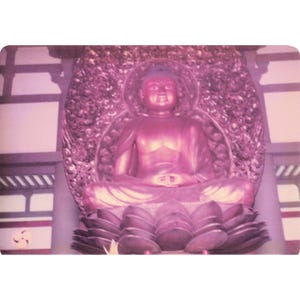 Vintage 1970s Byodo-In Temple Oahu Hawaii Buddha Photo Lot of 9 image 3