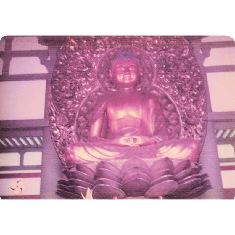 Vintage 1970s Byodo-In Temple Oahu Hawaii Buddha Photo Lot of 9 image 3