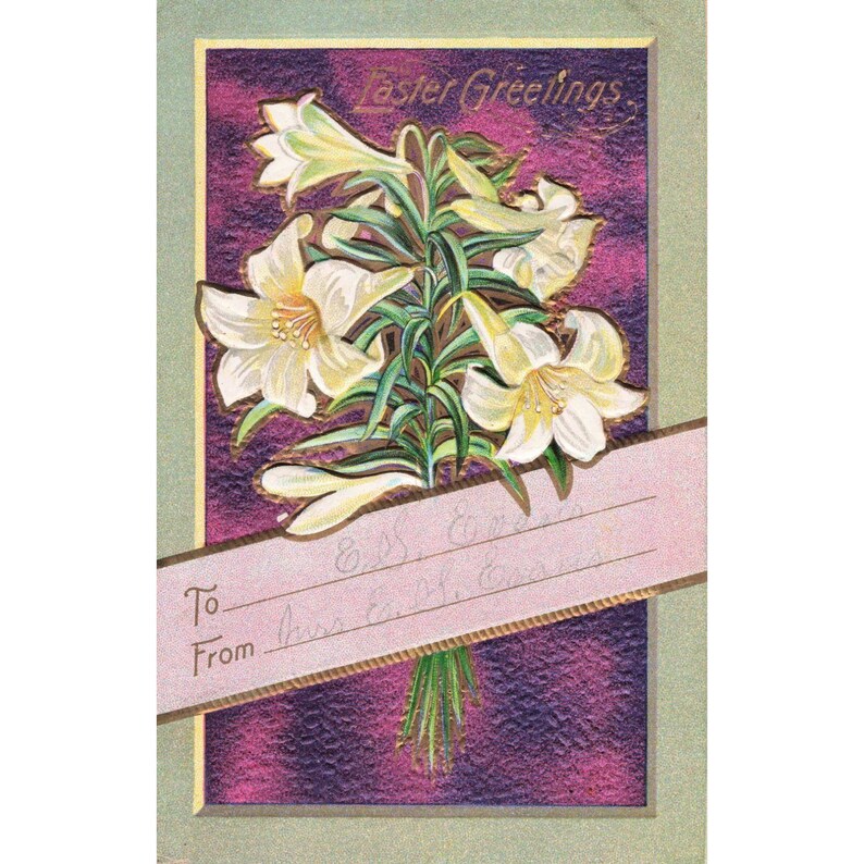 Vtg Embossed Easter Lily Postcard Series No 7 White Lilies Purple Gold Floral image 1