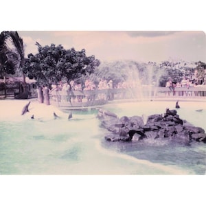 Vintage 1970s Sea Life Park Hawaii Dolphin Show Tall Ship Photo Lot of 17 image 1