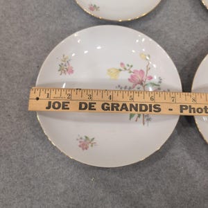 Eschenbach Bavaria Baronet China Floral Plates and Bowls Set of 4 P1 192 image 5