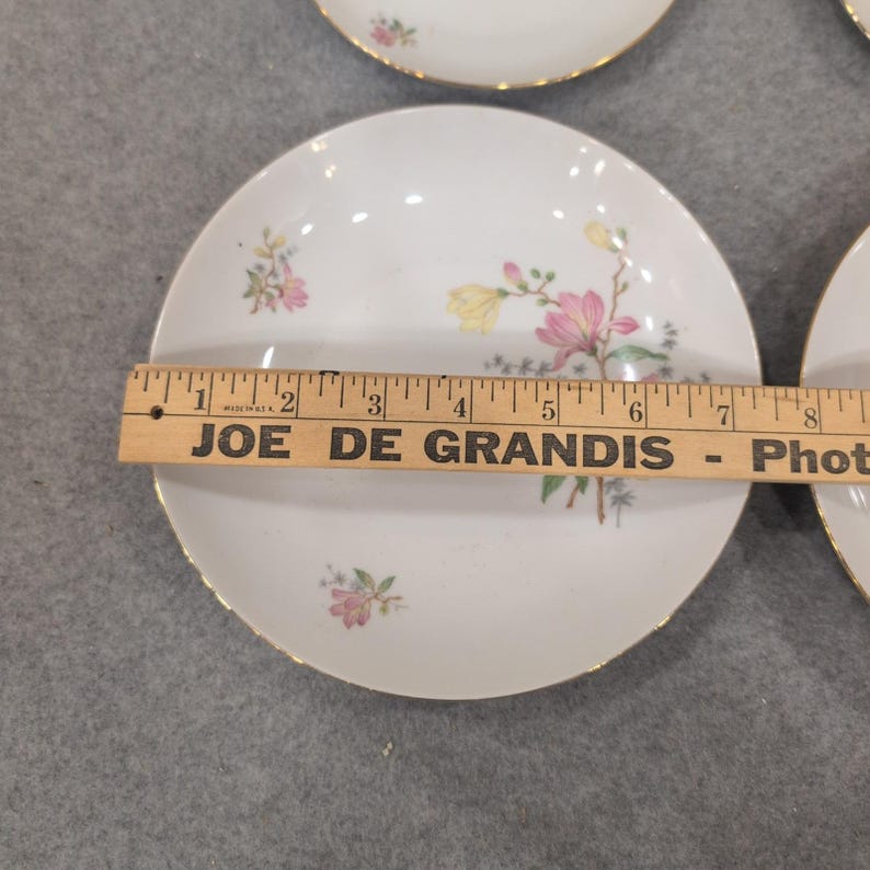 Eschenbach Bavaria Baronet China Floral Plates and Bowls Set of 4 P1 192 image 5