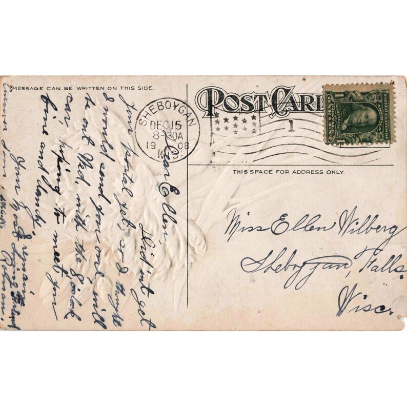 Cartão-postal antigo de 1908 com cravos vermelhos em relevo e carimbo postal de Sheboygan, WI. imagem 2
