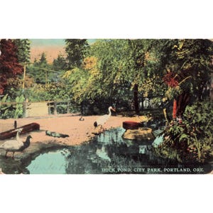 Vtg 1911 Portland Oregon City Park Duck Pond Postcard Benjamin Franklin Stamp image 1