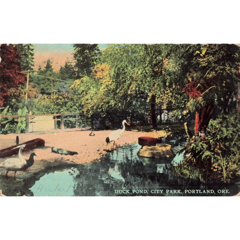 Vtg 1911 Portland Oregon City Park Duck Pond Postcard Benjamin Franklin Stamp image 1