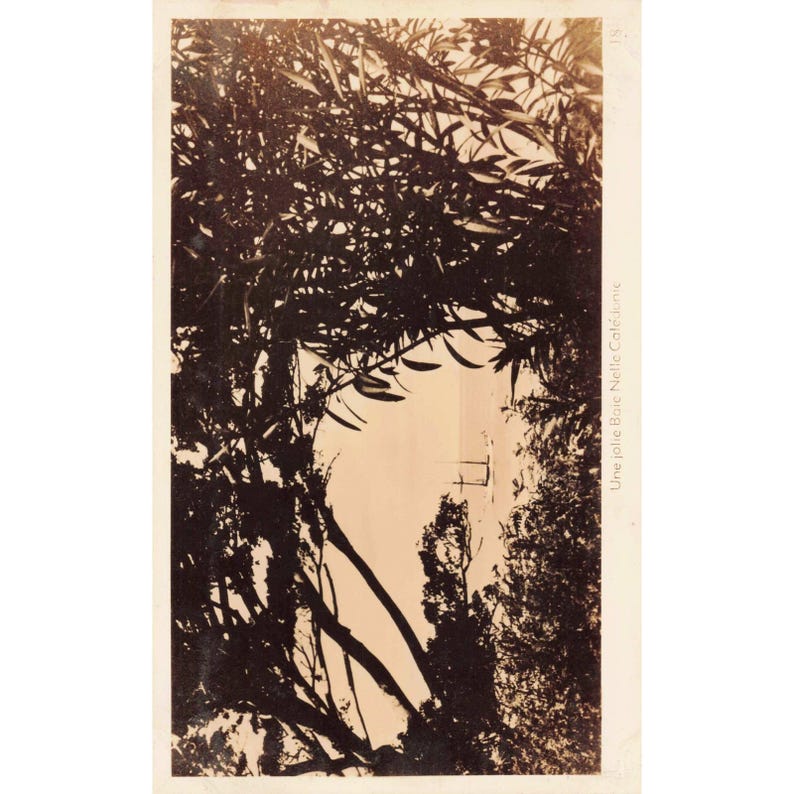 ニューカレドニア産1940年代ヴィンテージRPPCポストカード20枚セット - 写真をご覧ください！ 画像 5