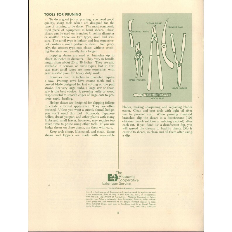 Pruning Ornamental Plants Alabama Cooperative Extension Circular ANR-258 Auburn image 2