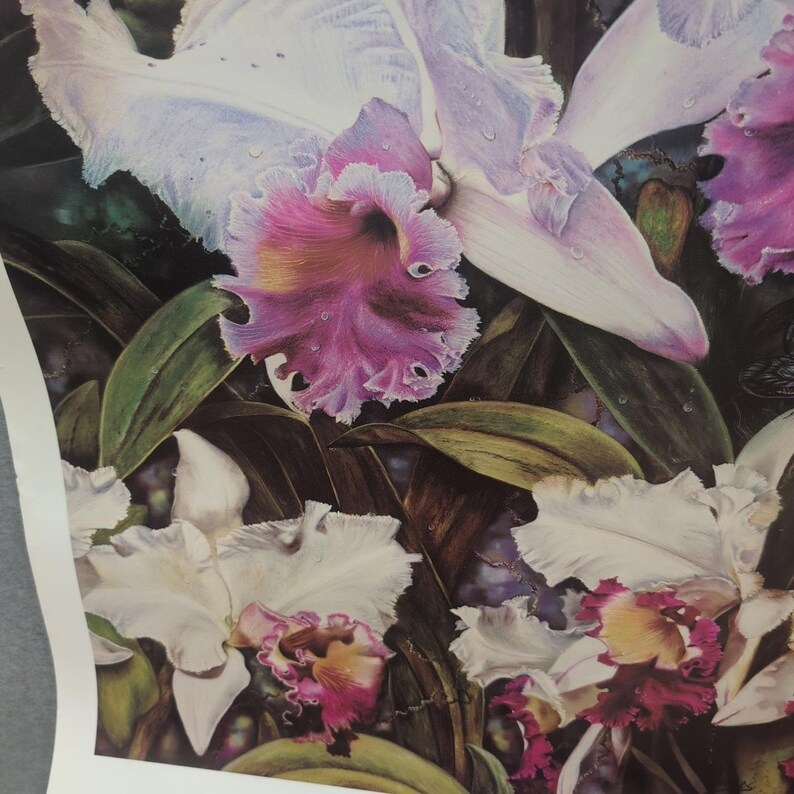 Sonia Torres Butterfly White Orchids Dendrobium Artist Print Signed Limited Ed image 4