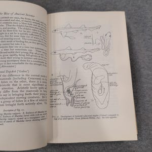 A History of Biology Charles Singer 1962 Revised Edition Hardcover Dust Jacket image 9