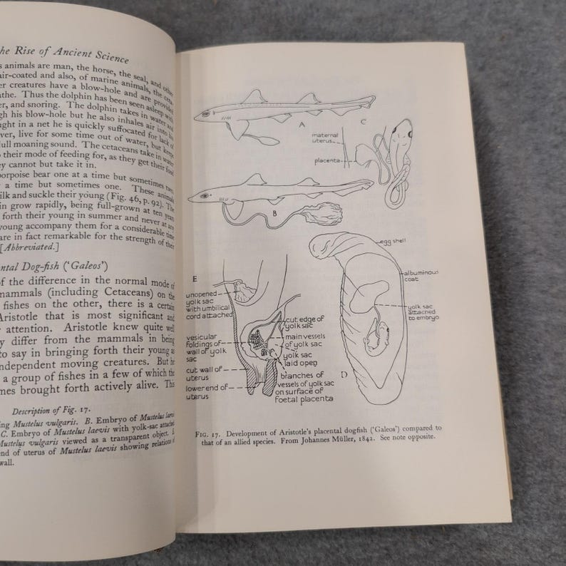 A History of Biology Charles Singer 1962 Revised Edition Hardcover Dust Jacket image 9