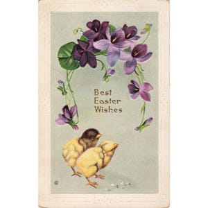 Vintage Osterpostkarte von 1909, geprägtes Motiv: Küken und Veilchen, Sheboygan Falls, Wisconsin, 303 Bild 1