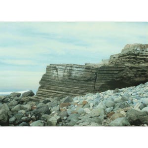 Vintage 1988 Found Photo Point Loma Tide Pools San Diego CA Original Snapshot image 1