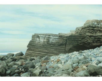 Vintage 1988 Found Photo Point Loma Tide Pools San Diego CA Original Snapshot