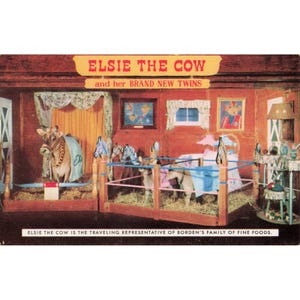Vtg 1957 Elsie the Cow Borden's Advertising Postcard Twins Traveling Exhibit image 1