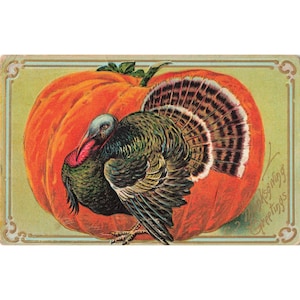 Cartolina vintage del Ringraziamento del 1908, RPPC, con tacchino e zucca in rilievo, Sheboygan, Wisconsin. immagine 1
