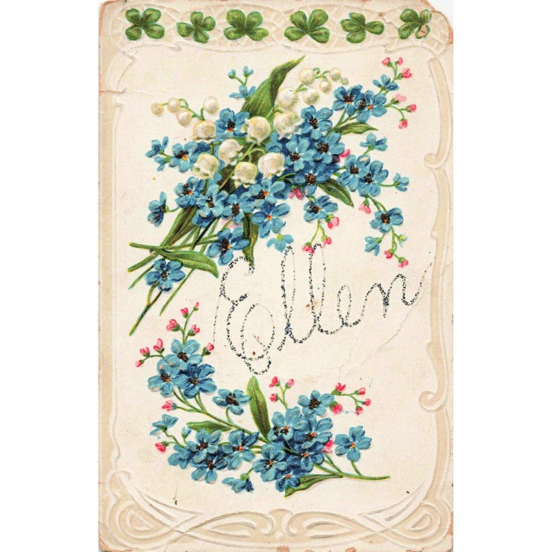 Cartão-postal floral antigo de 1915 com a flor "Não me esqueças", representando Ellen Esquece-me de Lírio-do-vale, de Appleton, Wisconsin. imagem 1