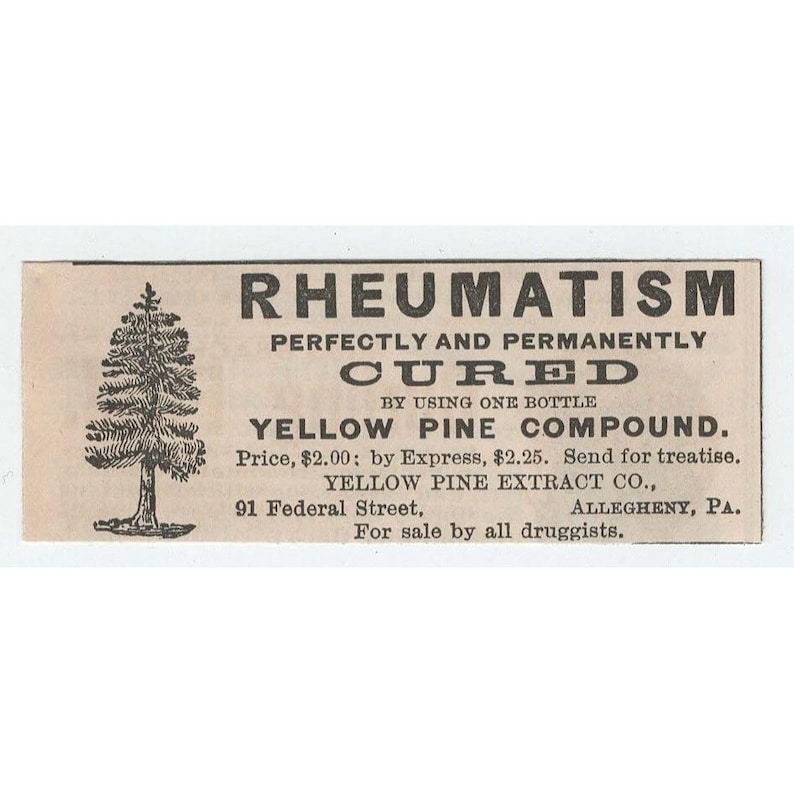 1891 Yellow Pine Compound Rheumatism Cure Print Ad Allegheny PA Pine Tree Art image 1