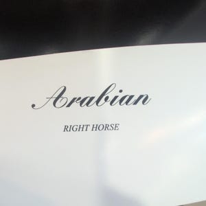 Sonia Torres Arabian Right Horse Artist's Print Torres Signed Numbered Limit Ed image 4