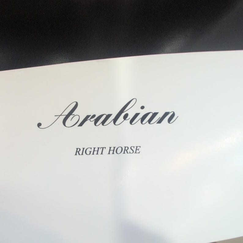 Sonia Torres Arabian Right Horse Artist's Print Torres Signed Numbered Limit Ed image 4
