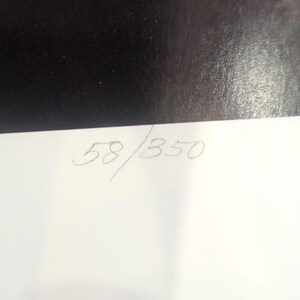 Sonia Torres Limited Edition Numbered, Signed Arabian Front Horse Artist's Print image 6