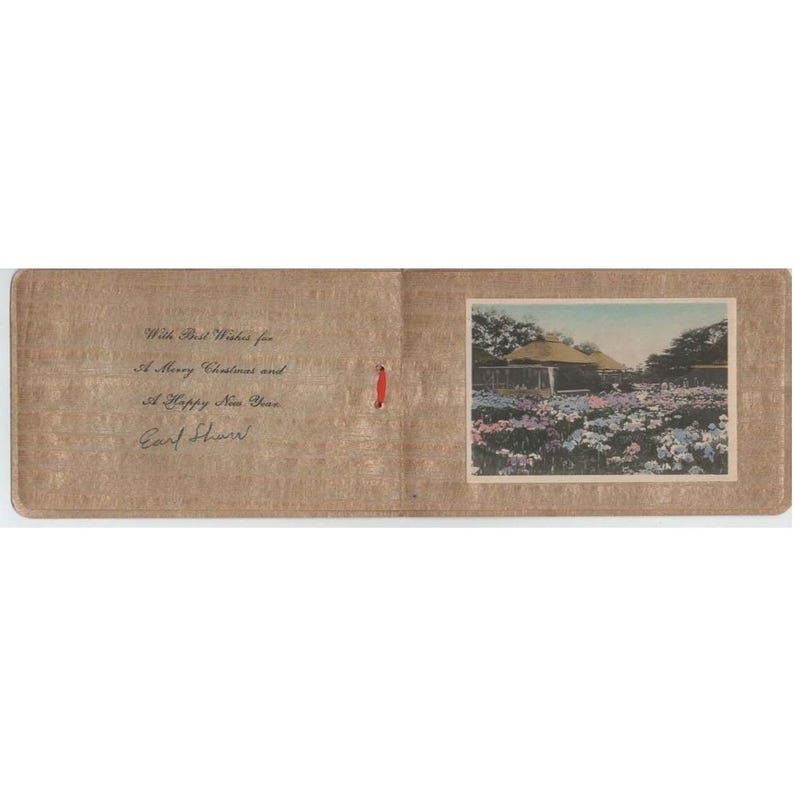 Vtg Hand Painted Christmas Card Waterfall Mountain Scene Silk Cord VG image 3
