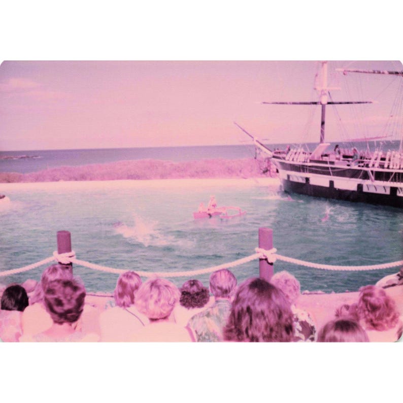 Vintage 1970s Sea Life Park Hawaii Dolphin Show Tall Ship Photo Lot of 17 image 11