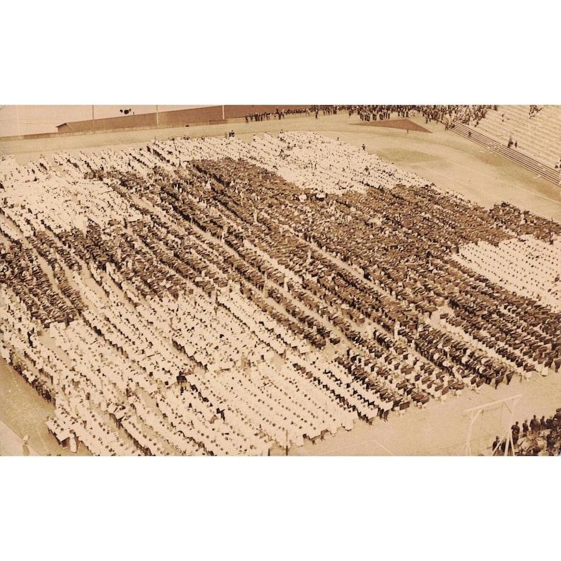 Stara pocztówka z flagą Czerwonego Krzyża Pokoju, mozaiką, stadionem, 14000 dzieci zdjęcie 1