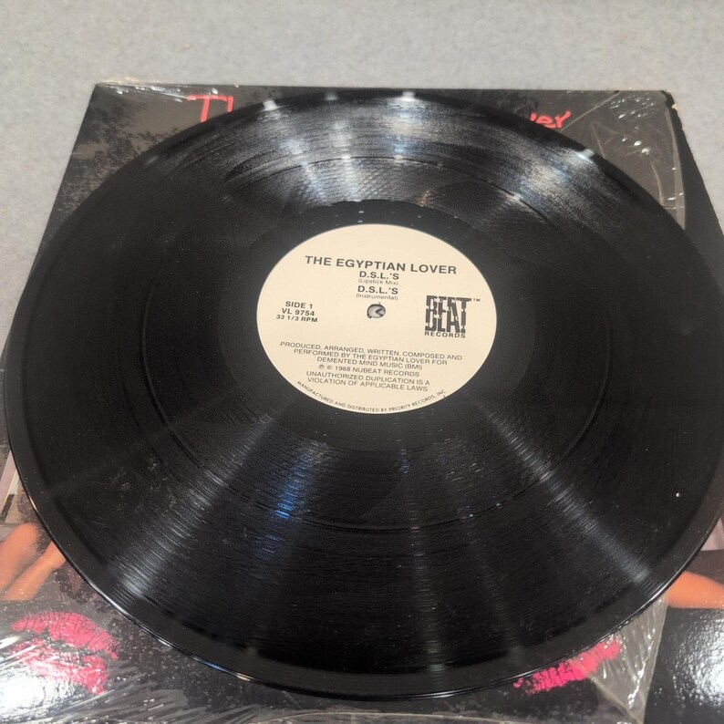 The Egyptian Lover DSL'S I Want Cha 12" Vinyl Single 1988 NuBeat VL 9754 VG image 5